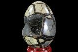 Septarian Dragon Egg Geode - Black Crystals #88306-2